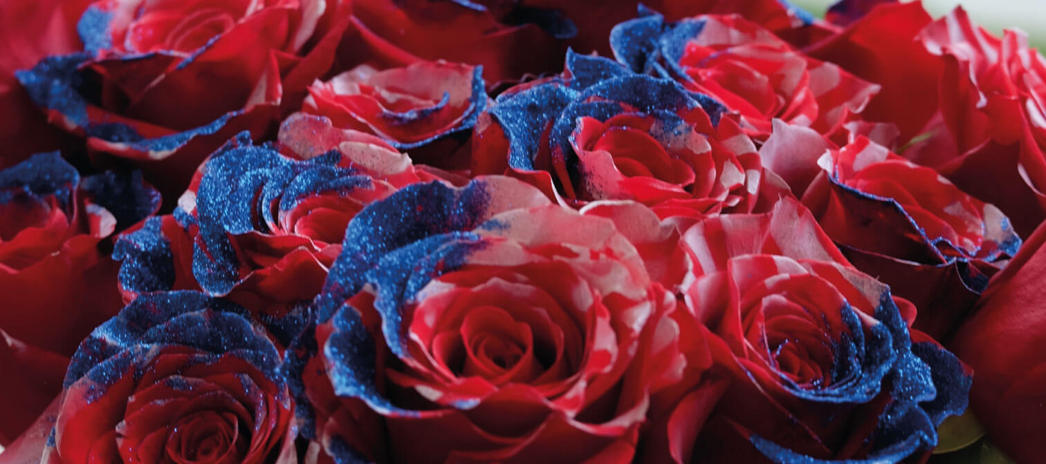 4th of July Flowers