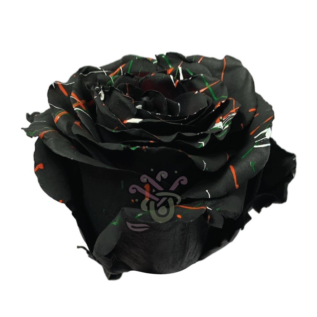 Black Halloween Confetti-1 • Asiri Blooms