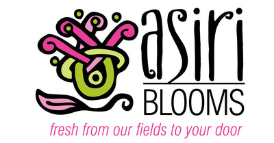 Asiri Blooms