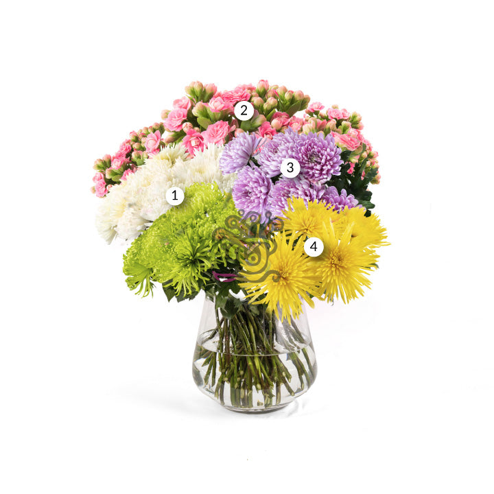 Chrysantemums  Flower Collection • Asiri Blooms