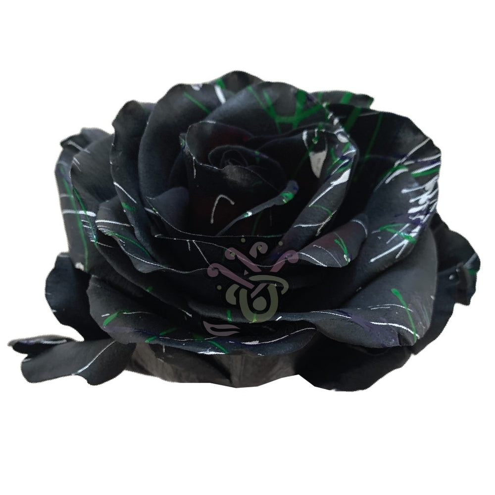 Black Halloween Confetti-3 • Tinted Roses