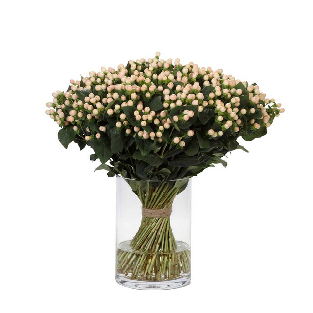 Hypericum Avanti 2 • Asiri Blooms