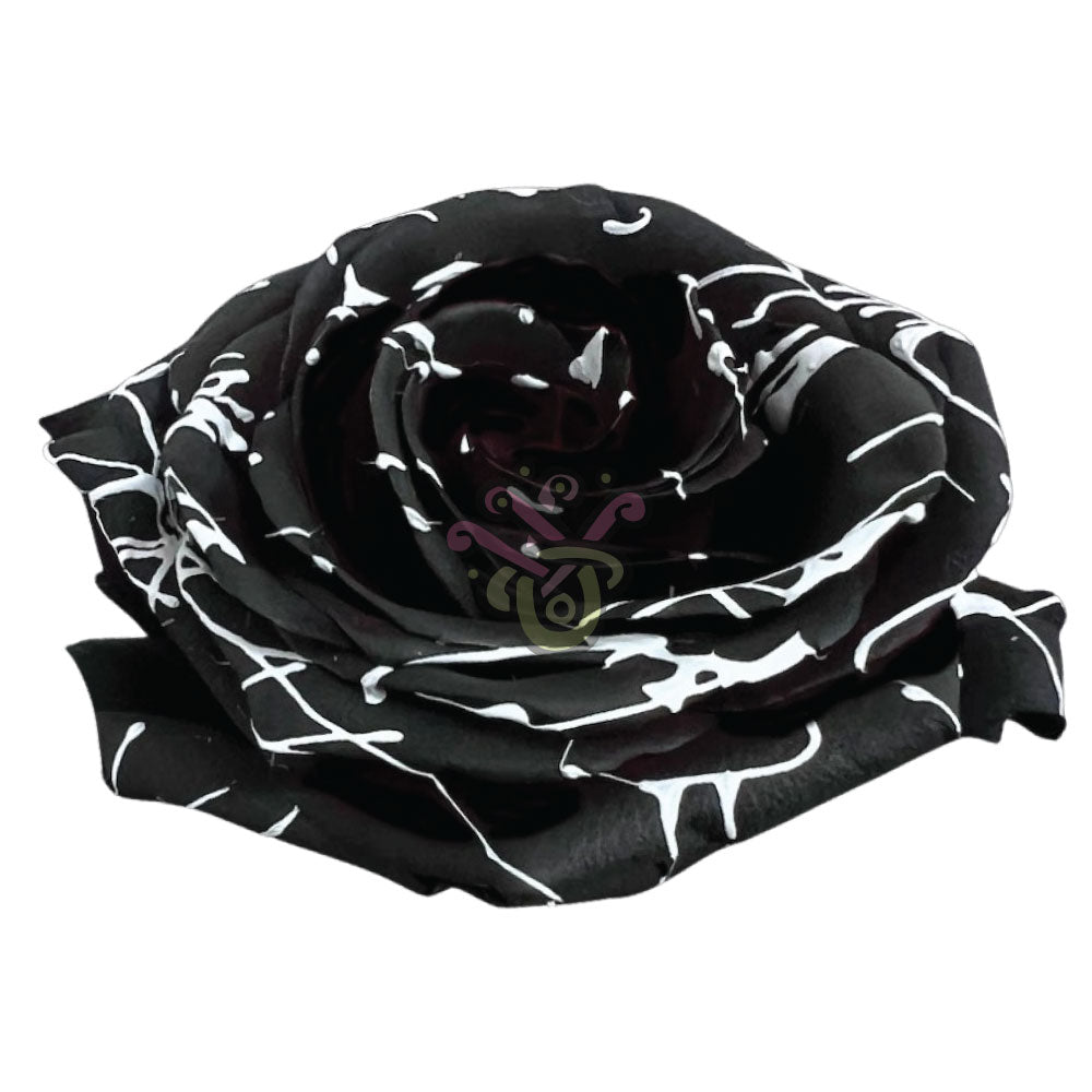 Skull Halloween Tinted • Asiri Blooms
