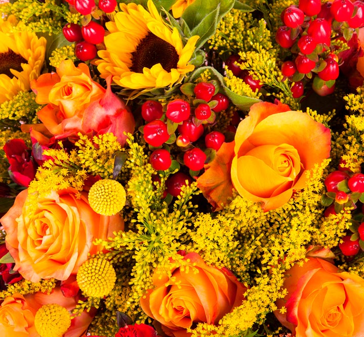 What Flowers Are in Season in Fall? The 2026 Wholesale Buyer's Guide to Autumn Blooms