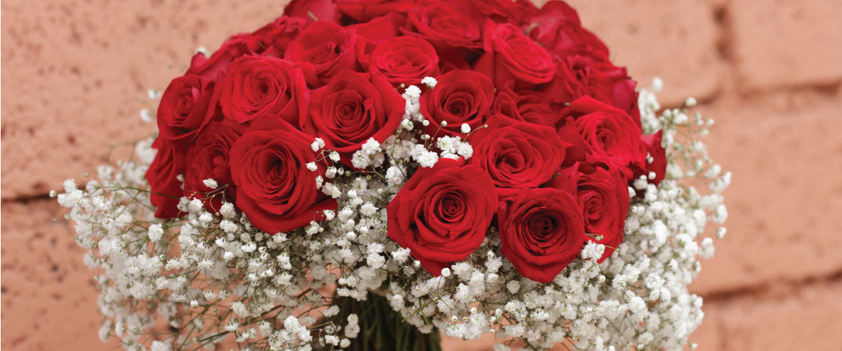 Valentines Day Ecuadorian Roses