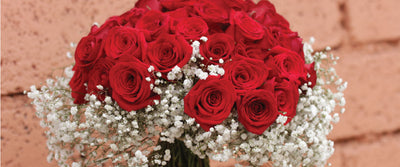Why Valentine’s is so important to florists + our latest tips!
