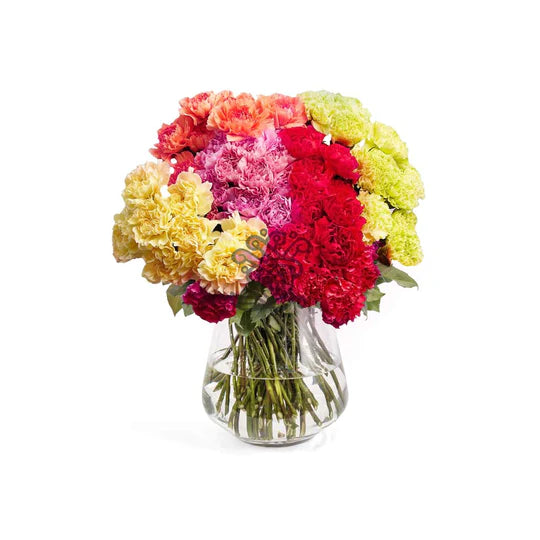 Carnations • Asiri Blooms