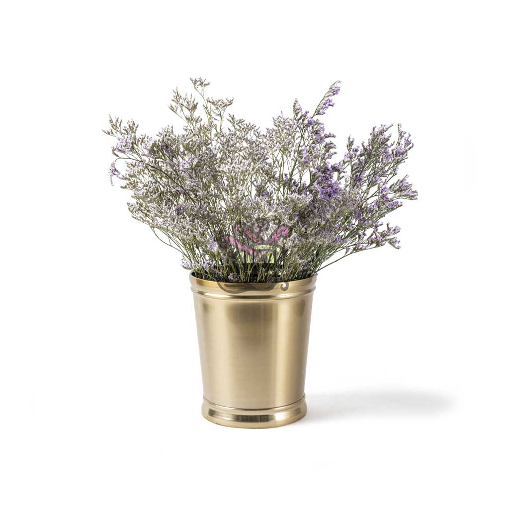 Limonium