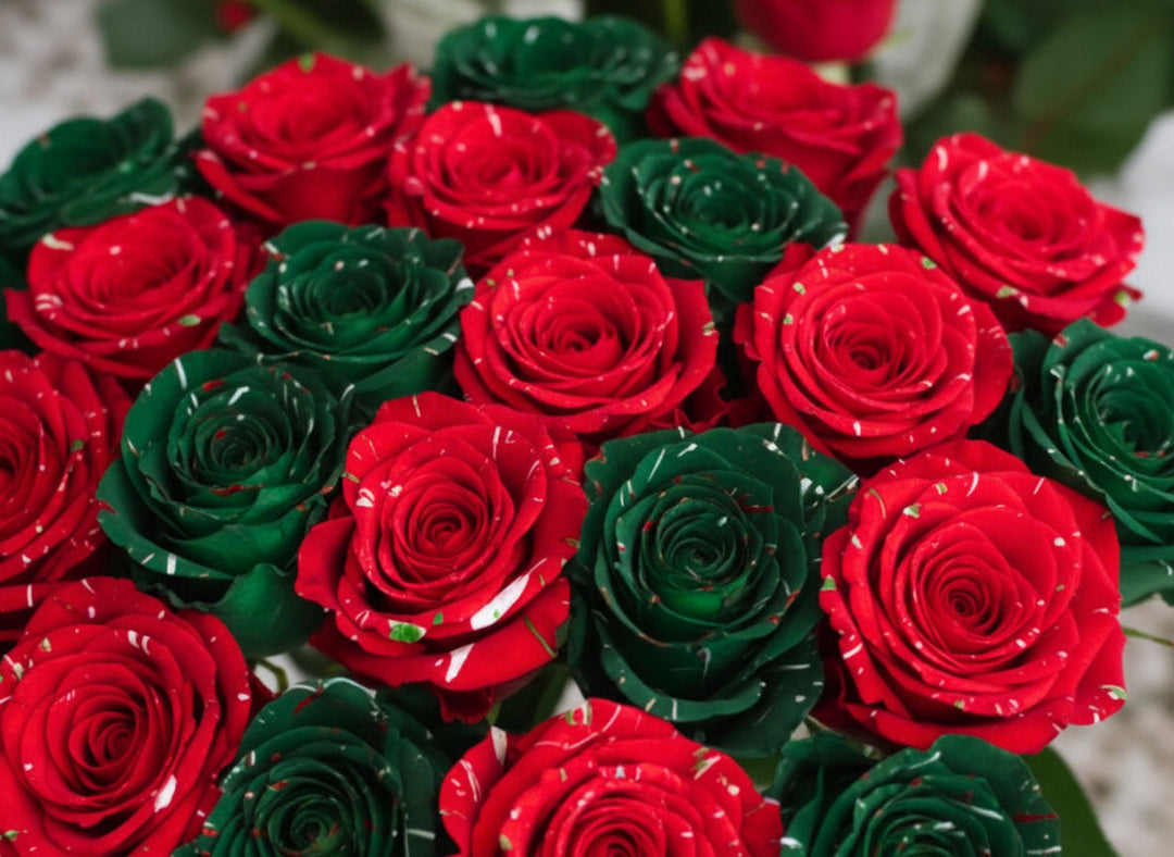 New Tinted Christmas Roses