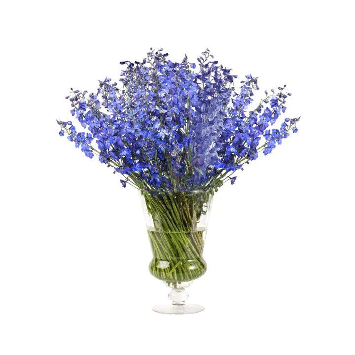 Wholesale Line Flowers - Asiri Blooms