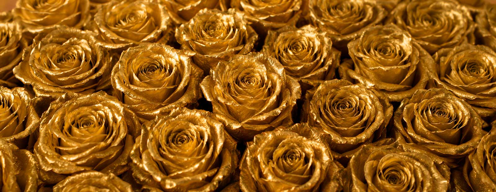 Wholesale Gold Roses - Asiri Blooms