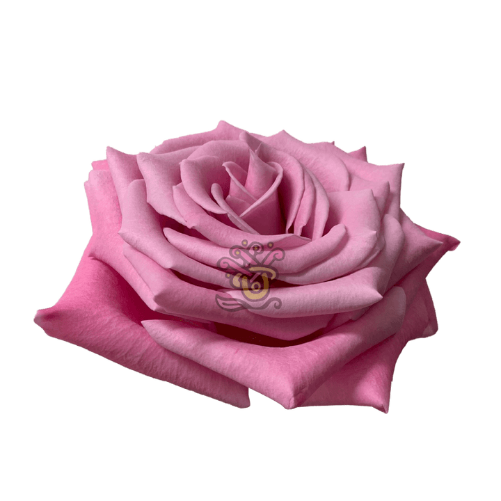 Babbaloo Roses - Asiri Blooms