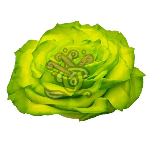 Grinchy Glitter Rose