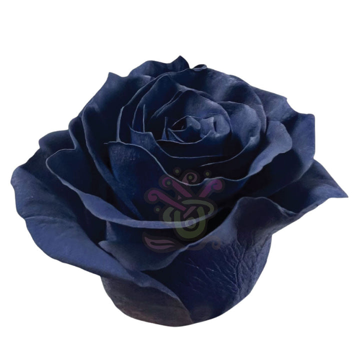 Navy Blue Tinted Roses • Asiri Blooms