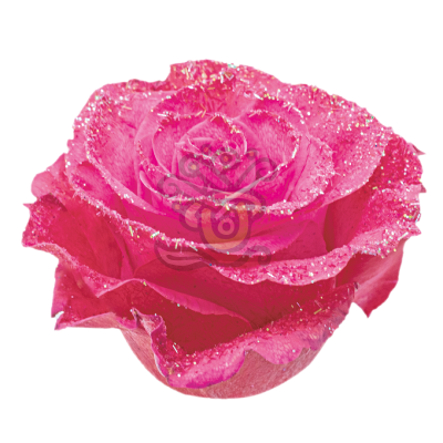 Pink Glittered Roses - Asiri Blooms