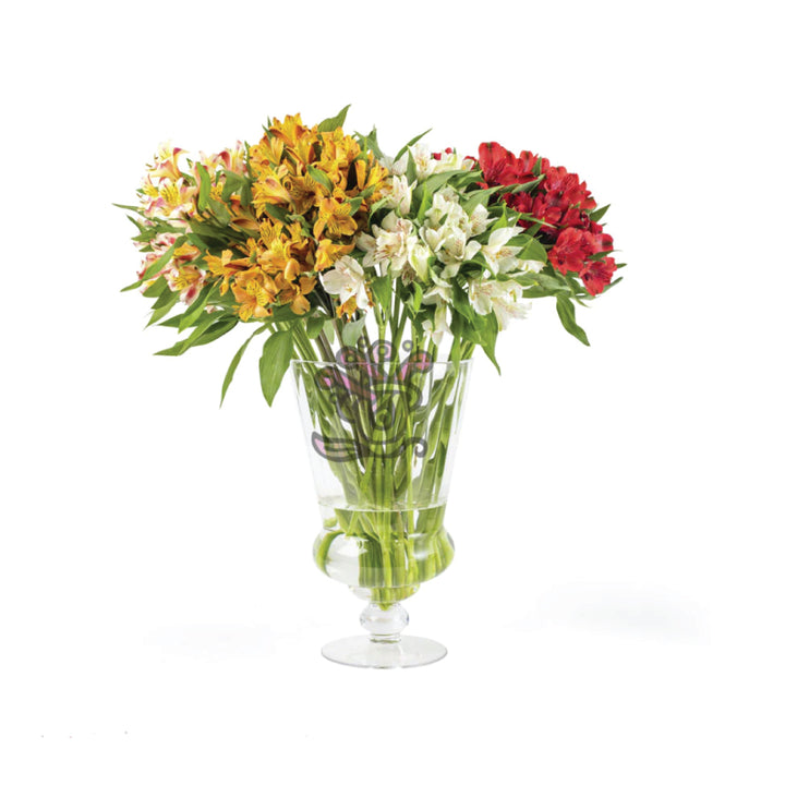 Alstroemeria Grower Flower Box 6 • Asiri Blooms • Bulk Flowers