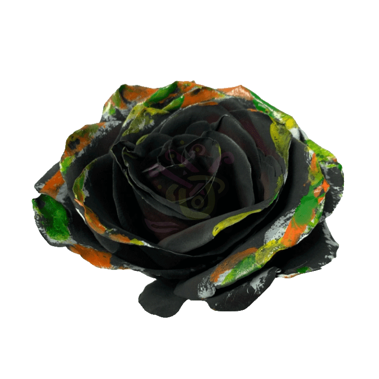 Black Halloween Brush Tinted Roses 2