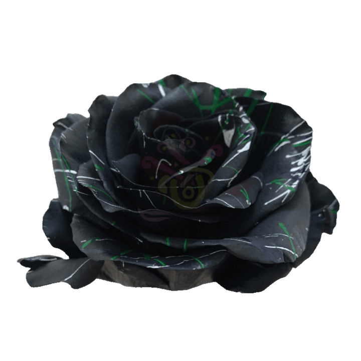 Black Halloween Confetti 2 Tinted Roses 2