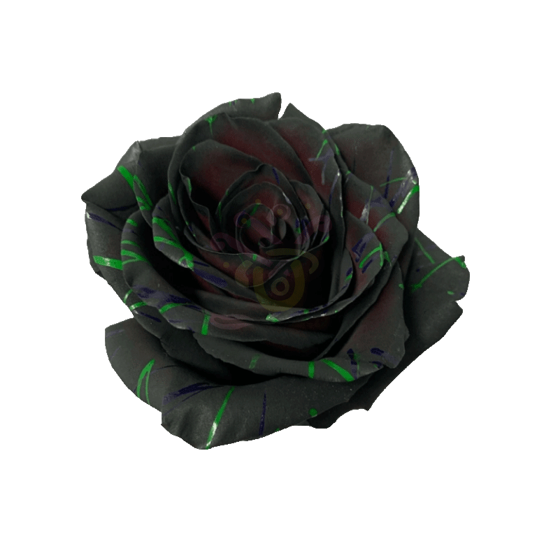 Black Halloween Confetti 3 Tinted Roses 2