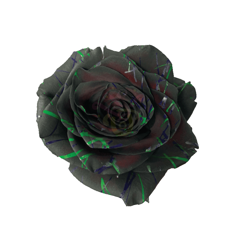 Black Halloween Confetti 3 Tinted Roses