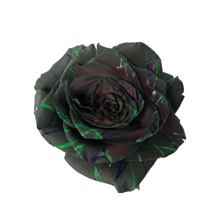 Black Halloween Confetti 3 Tinted Roses