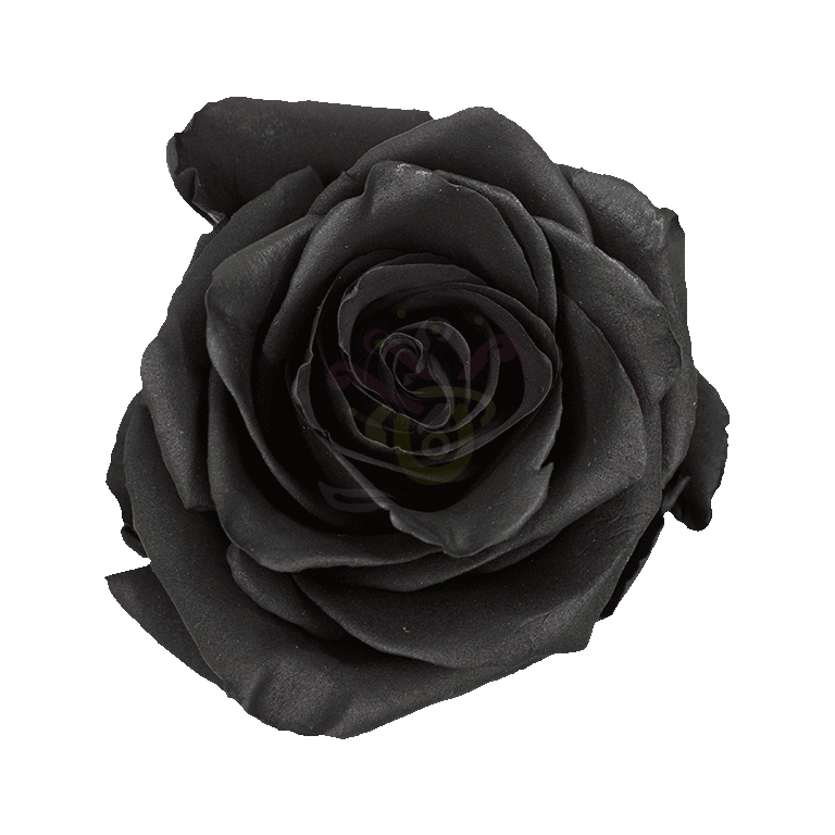 Black Spray Tinted Roses