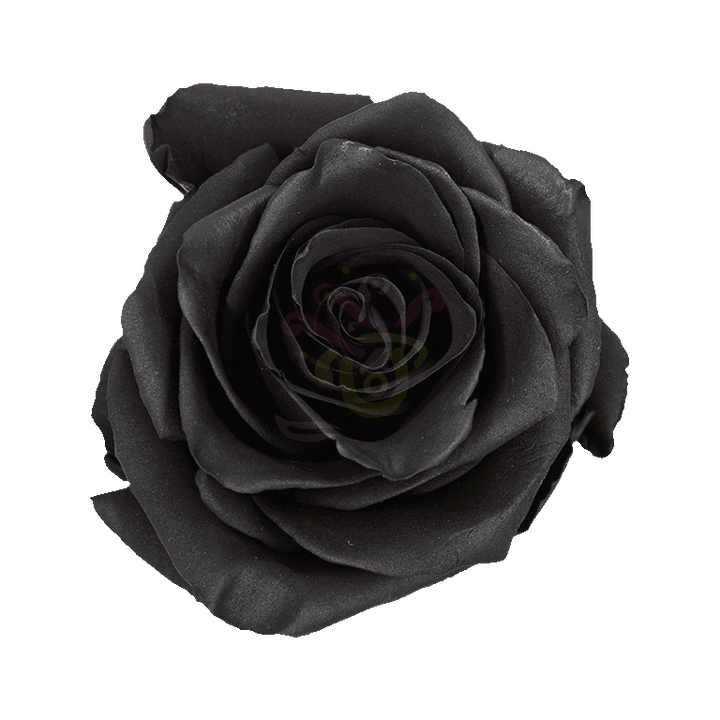 Black Spray Tinted Roses