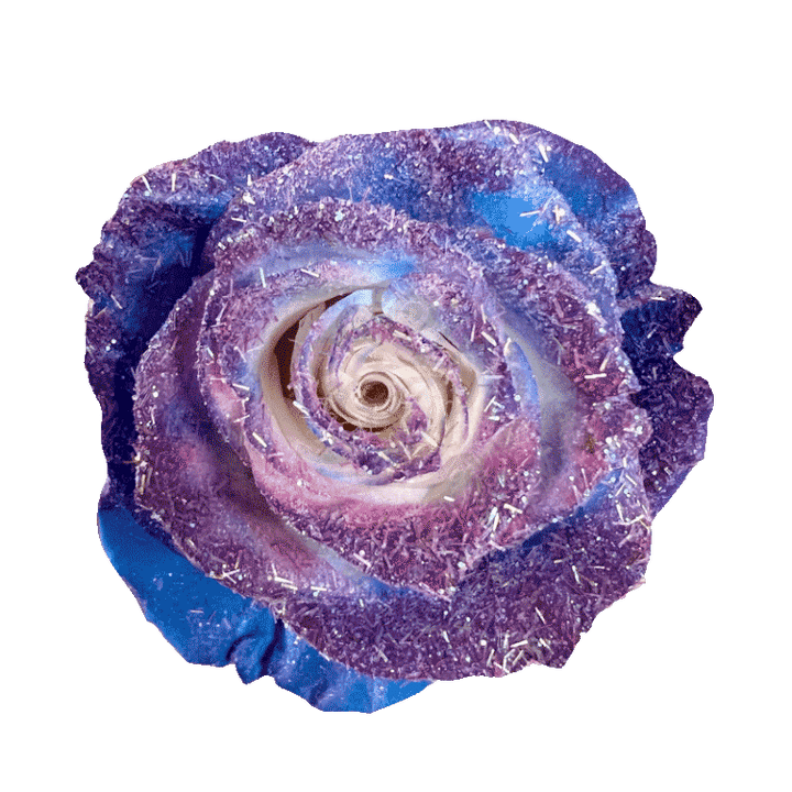 Blue Cosmic Tinted Roses