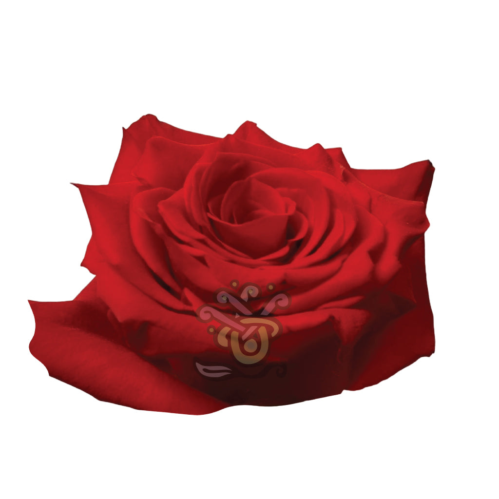 Born Happy Roses • Asiri Blooms