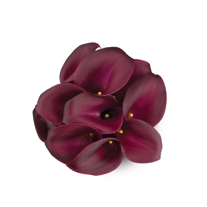 Cranberry Calla Lilies • Asiri Blooms