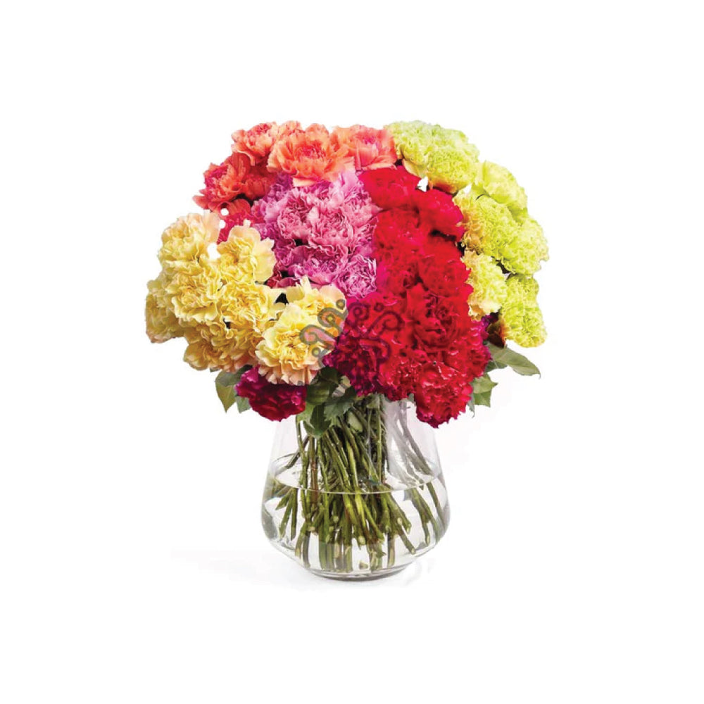 Carnations Grower Box 8 • Asiri Blooms • Bulk Flowers
