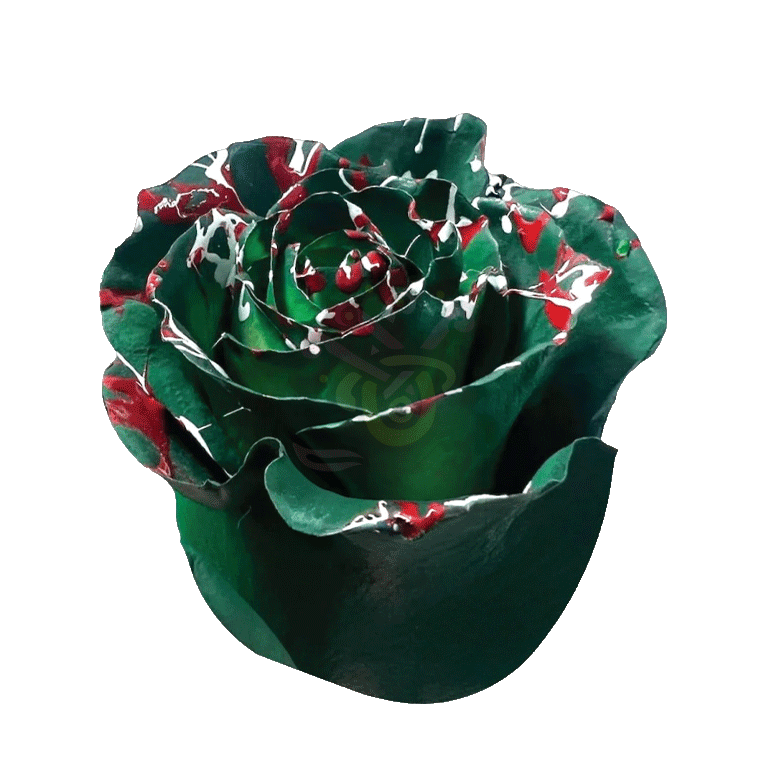 Christmas Confetti Green Tinted Roses 2