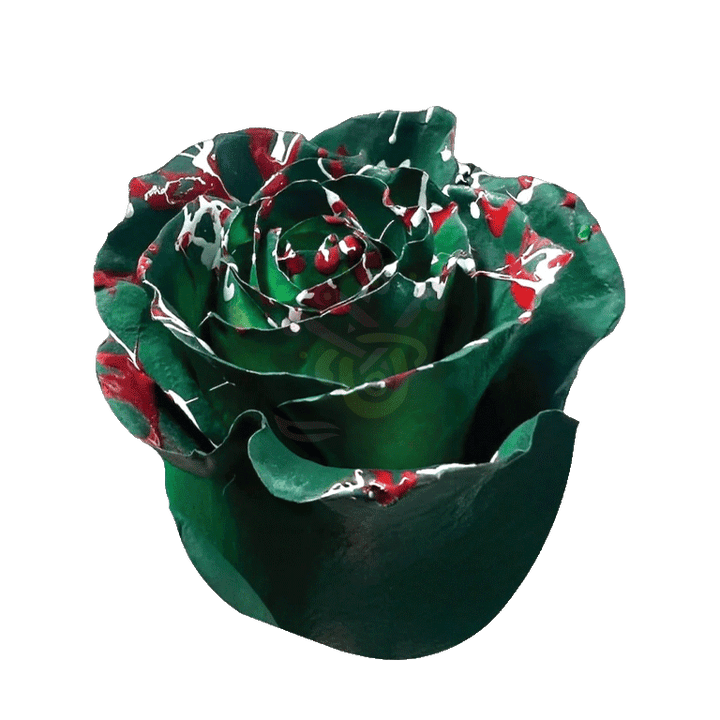 Christmas Confetti Green Tinted Roses 2