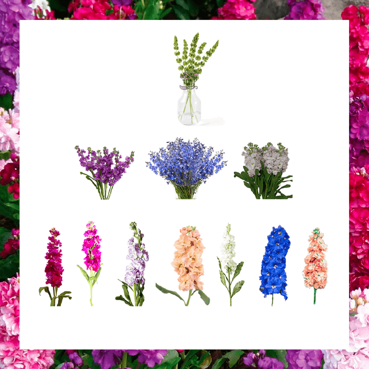 Grower Flower Box 7 • Asiri Blooms