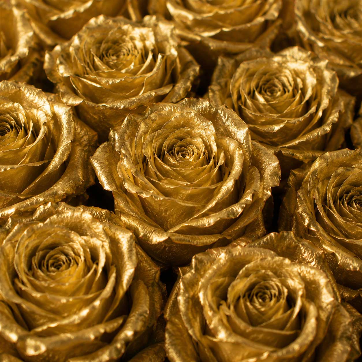 Buy Golden Tinted Roses