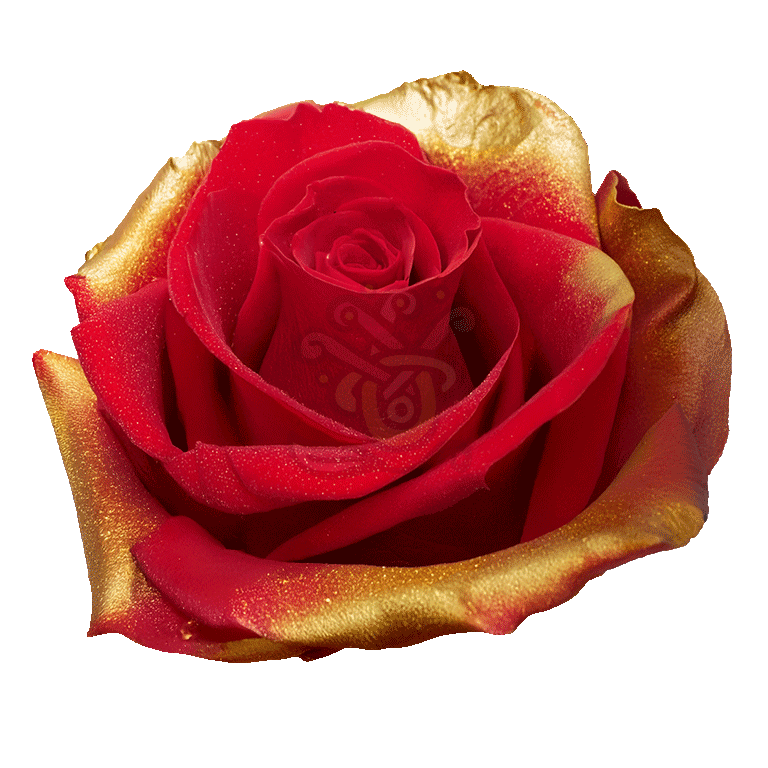 Golden Xmas Tinted Roses
