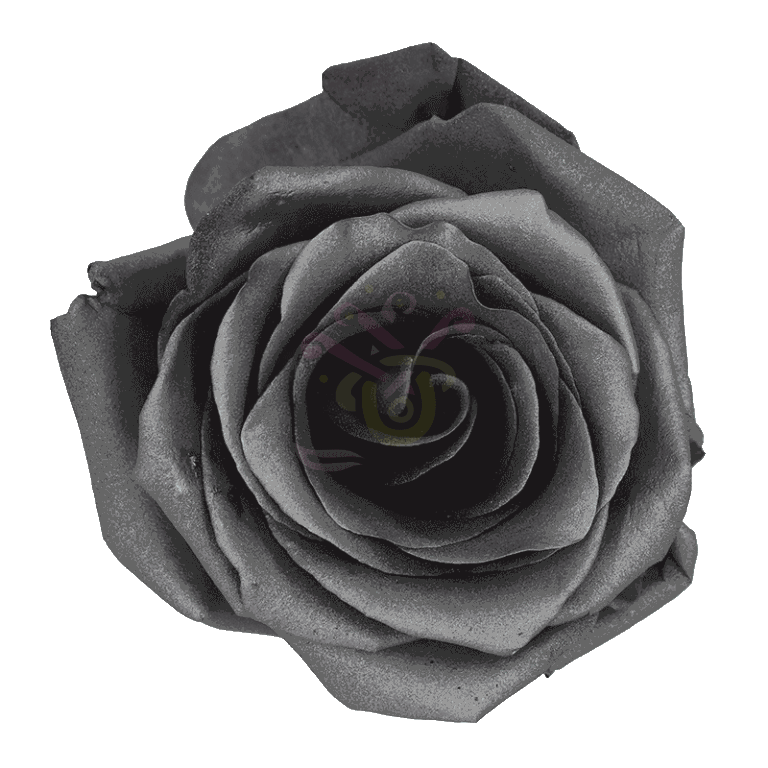 Grafito Tinted Roses