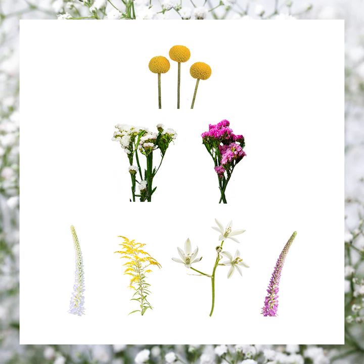 Grower Flower Box 11 • Asiri Blooms