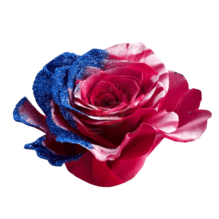 Honor Glittered Roses 2