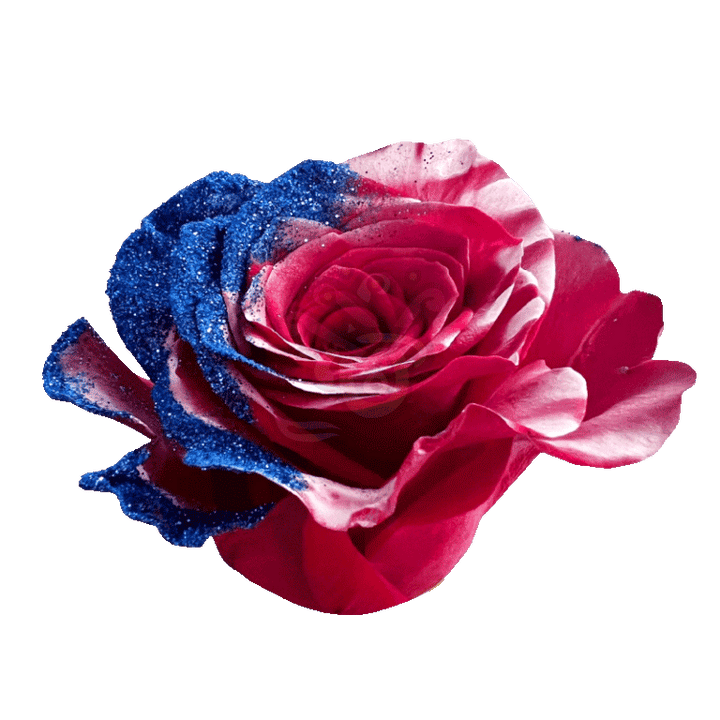 Honor Glittered Roses 2