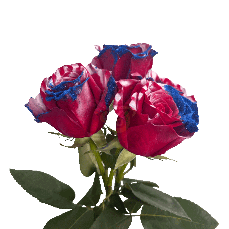 Honor Glittered Roses 3