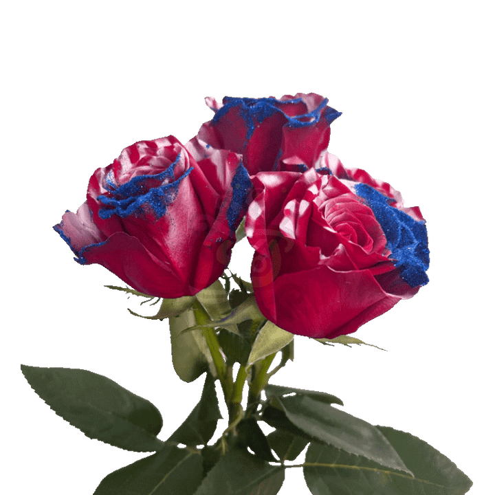 Honor Glittered Roses 3