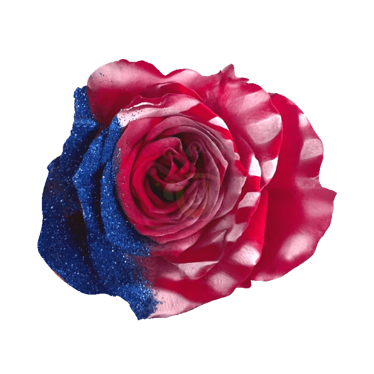 Honor Glittered Roses
