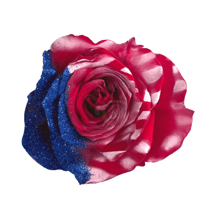 Honor Glittered Roses