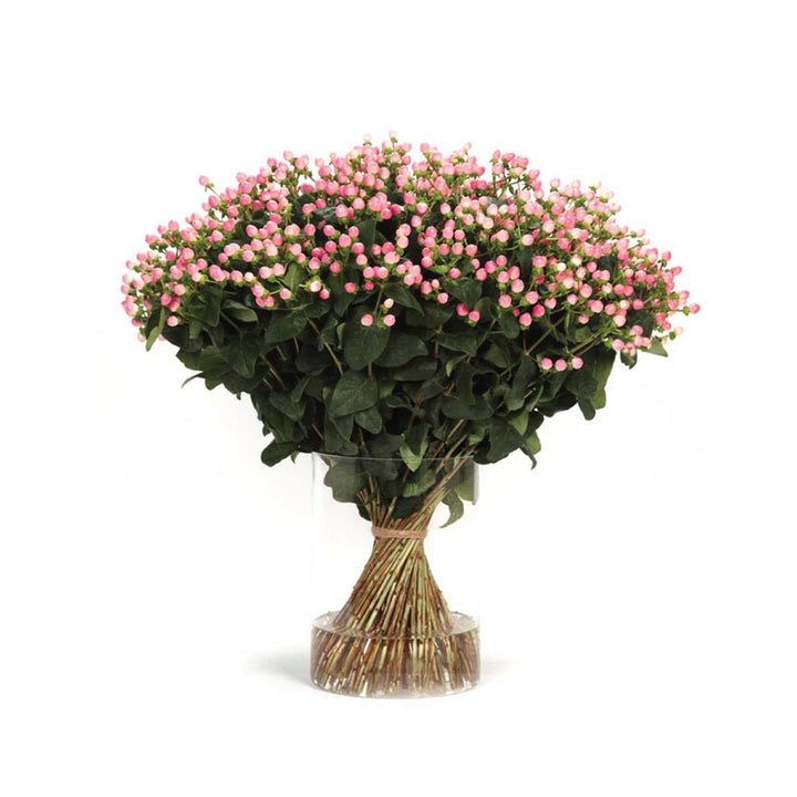 Hypericum Pink • Asiri Blooms