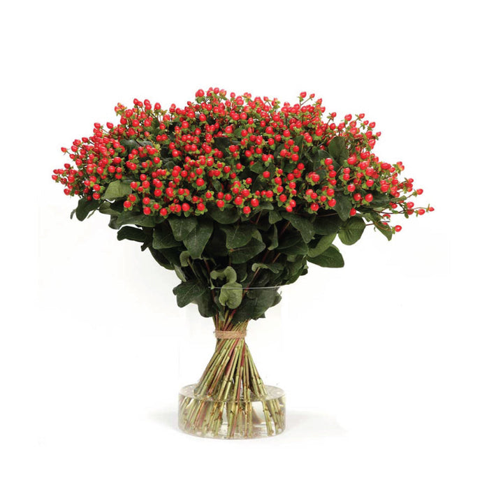 Hypericum Red • Asiri Blooms