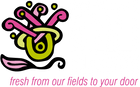 Asiri Blooms