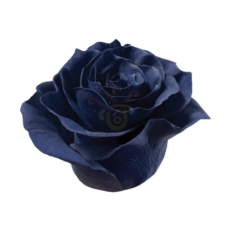Navy Blue Tinted Roses 2