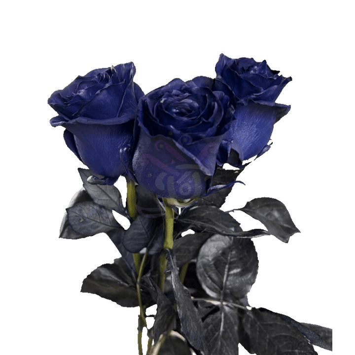 Navy Blue Tinted Roses 3
