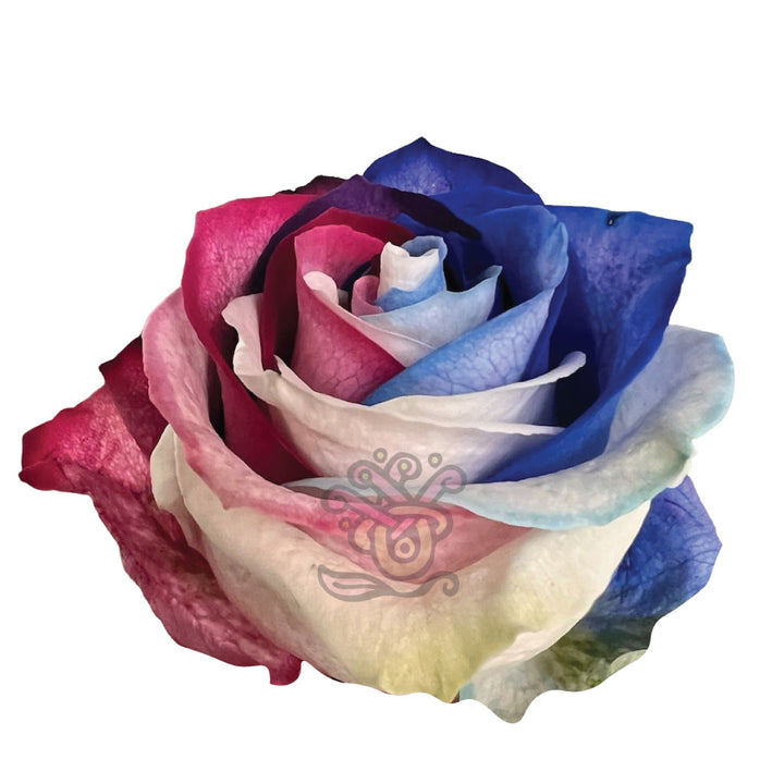 Patriot Tinted Roses • Asiri Blooms